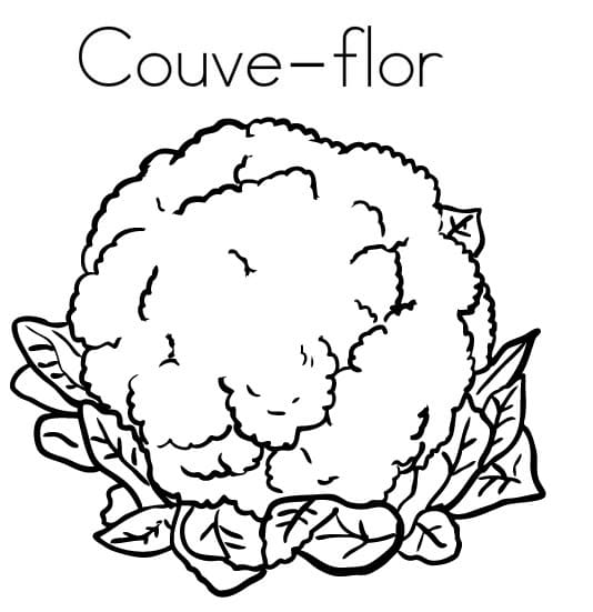 Desenho de Couve Flor com Folhas para Colorir