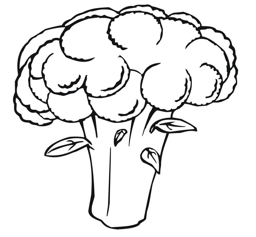 Desenho de Couve Flor Cozida para Imprimir