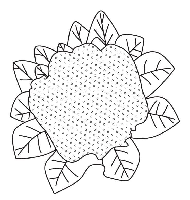 Desenho de Couve Flor Crua para Colorir Pdf