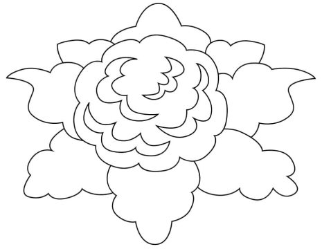 Desenho de Couve Flor Detalhada para Colorir