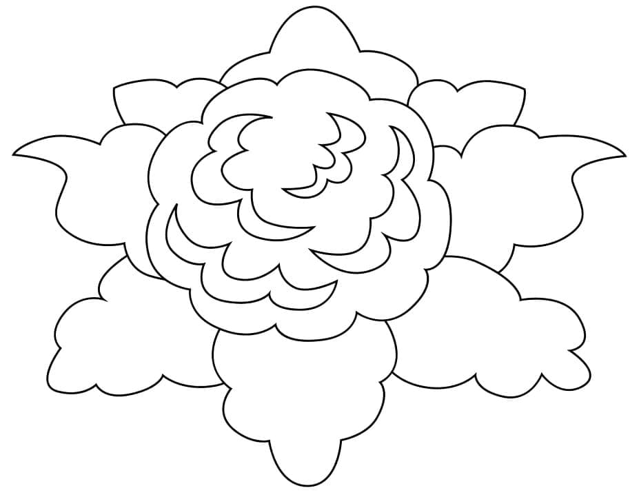 Desenho de Couve Flor Detalhada para Colorir
