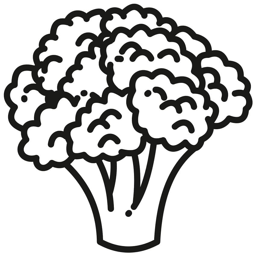 Desenho de Couve Flor em Cesta Imprimivel Download