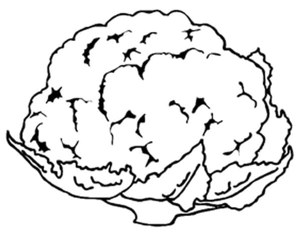 Desenho de Couve Flor Fofa para Colorir Pdf