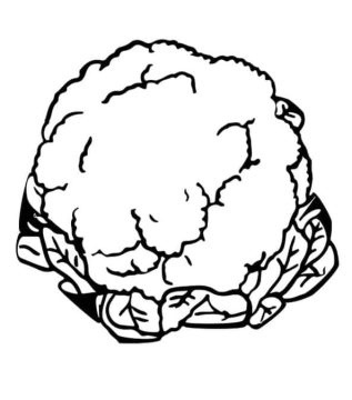 Desenho de Couve Flor Imprimível Download