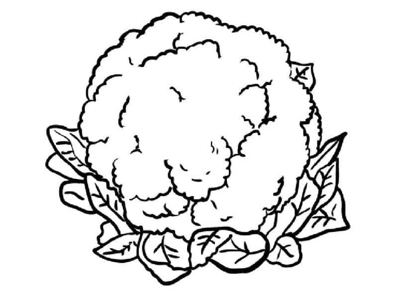 Desenho de Couve Flor Infantil para Imprimir