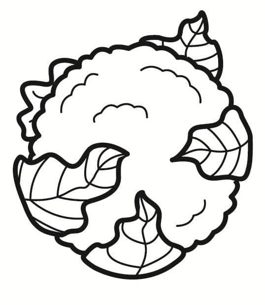 Desenhos de Couve-flor para Colorir