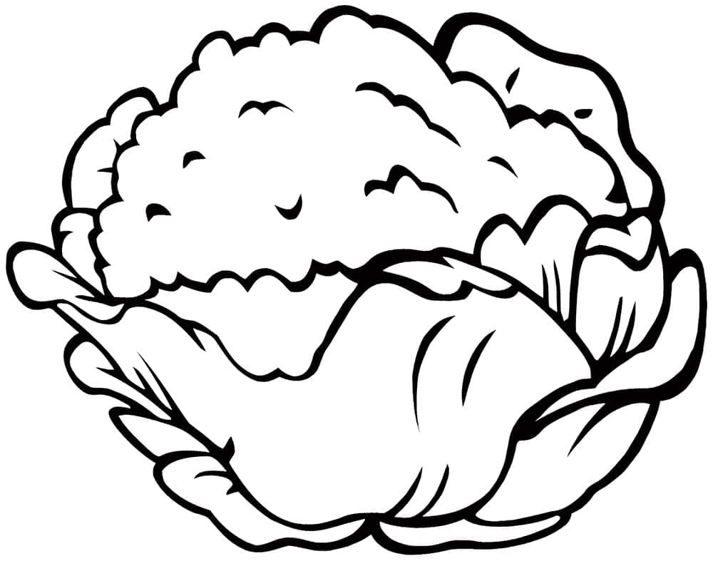 Desenho de Couve Flor para Colorir Pdf