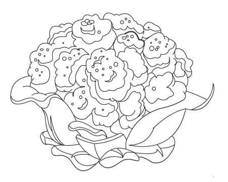 Desenho de Couve Flor para Pintar Giz de Cera