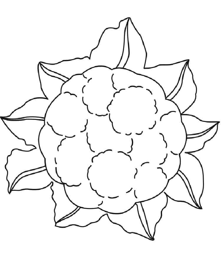 Desenho de Couve Flor Simples para Imprimir Lápis de Cor