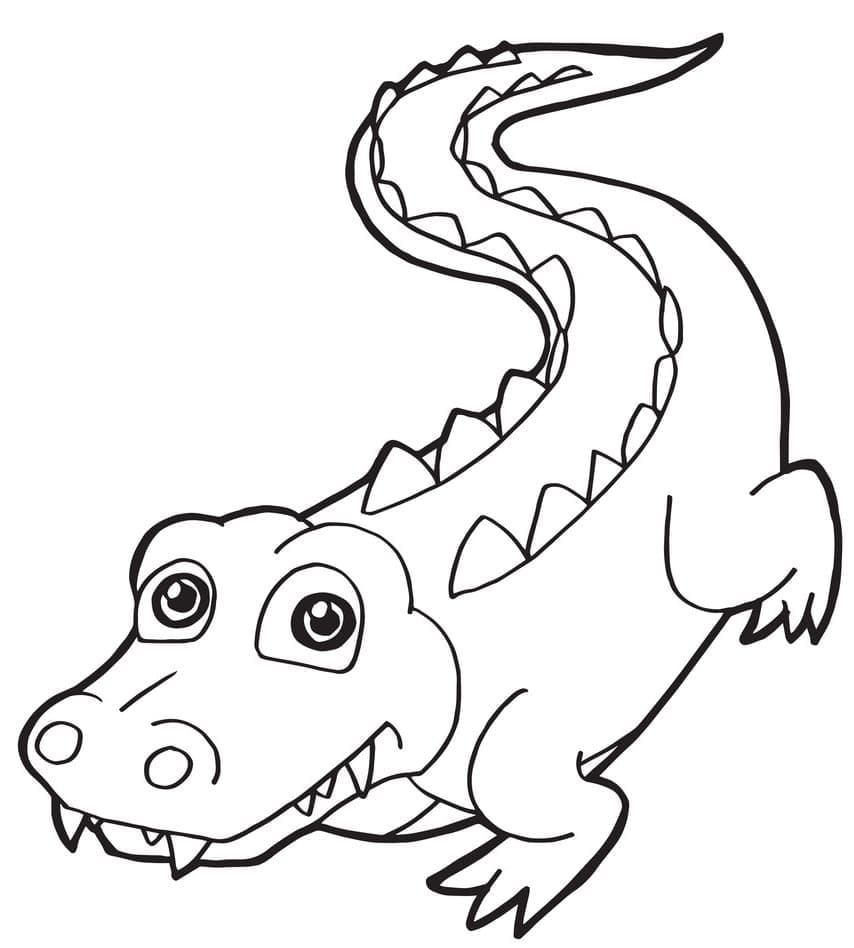 Desenho de Bebê Crocodilo para Colorir