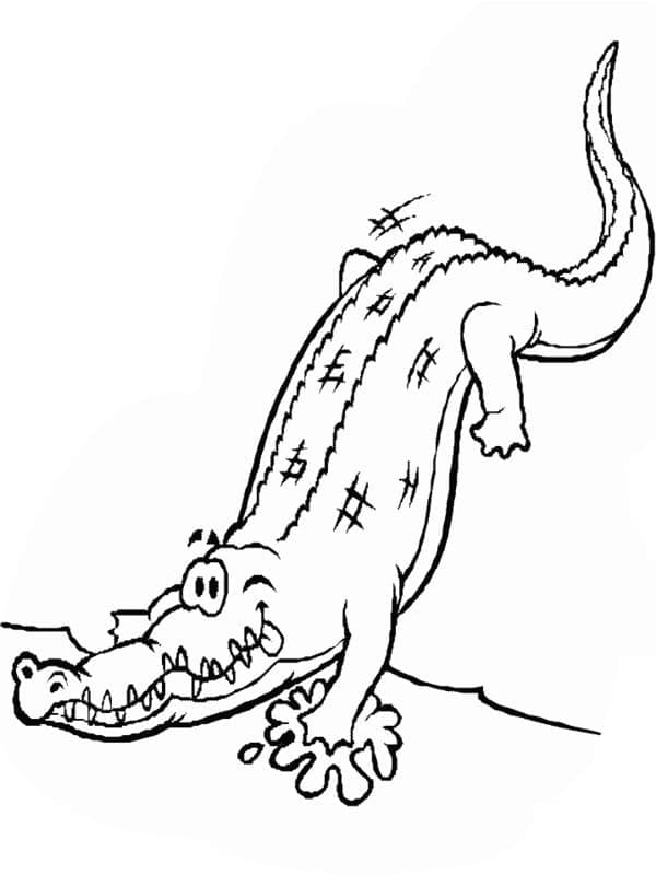 Desenho de Crocodilo de Desenho Animado para Colorir
