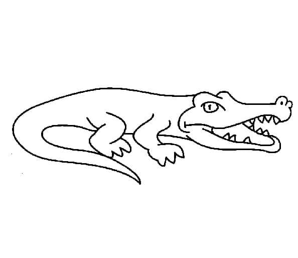 Desenho de Crocodilo Fácil para Colorir