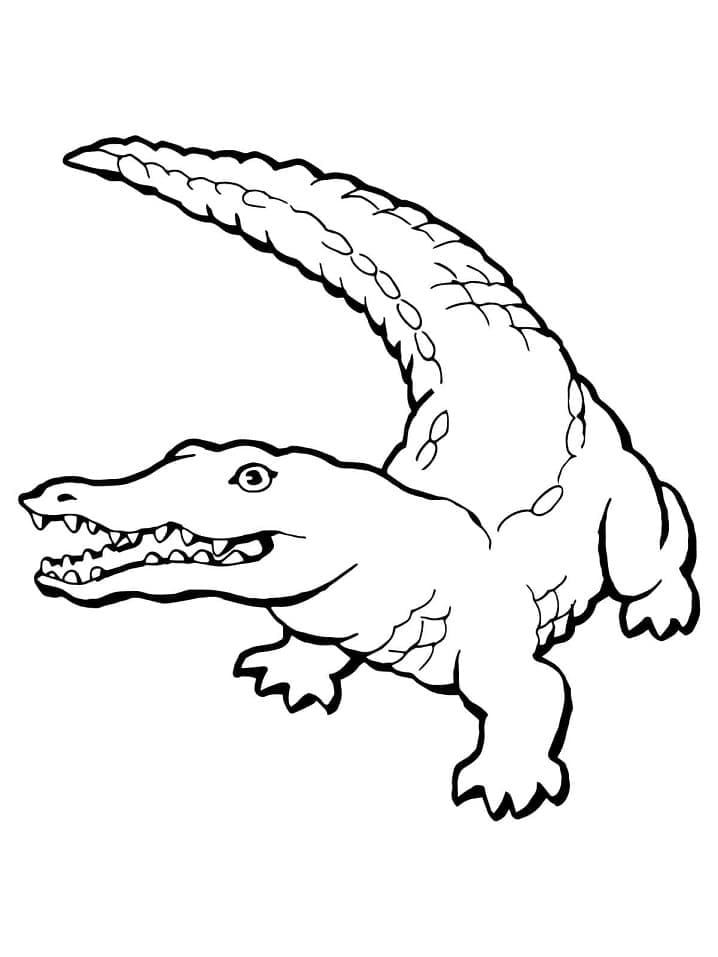 Desenho de Crocodilo Grátis para Colorir