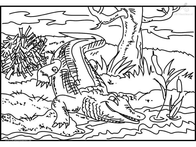 Desenho de Crocodilo Grátis para Crianças para Colorir