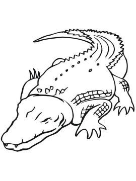 Desenho de Grande Crocodilo para Colorir