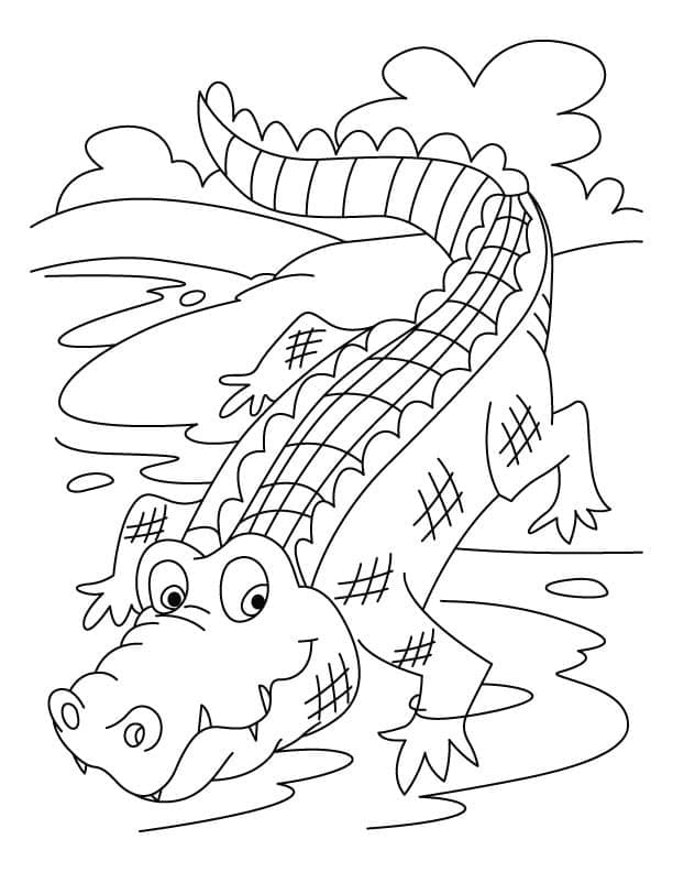 Desenho de um Crocodilo Sorridente para Colorir
