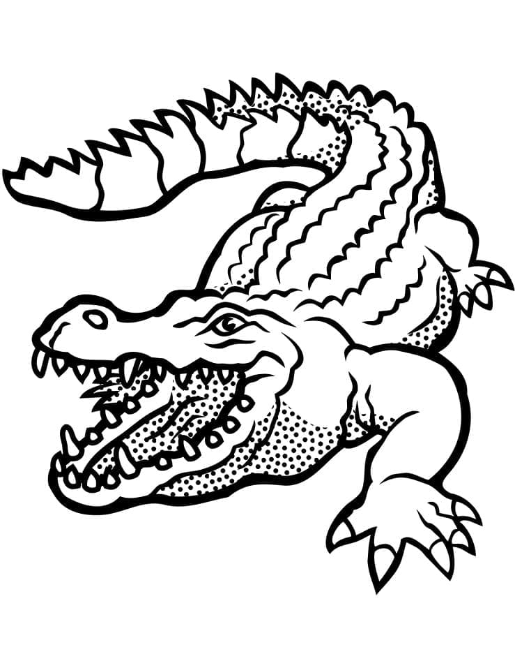 Desenho de um Grande Crocodilo para Colorir