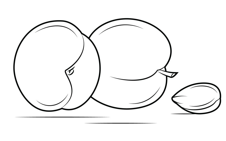 Desenhos de Damasco para Colorir
