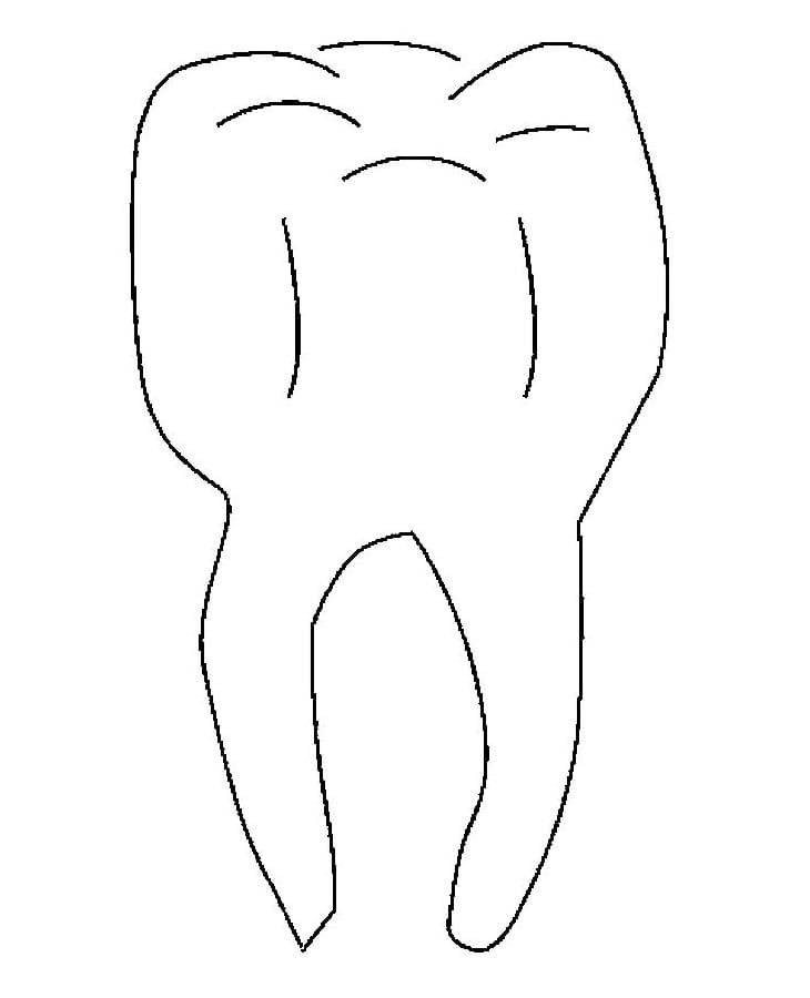 Desenho de Dente Imprimivel Download