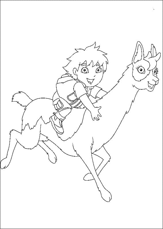 Desenho de Go Diego Go Andando em Lhama para Colorir