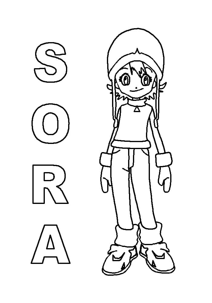 Desenho de Sora de Digimon para Colorir