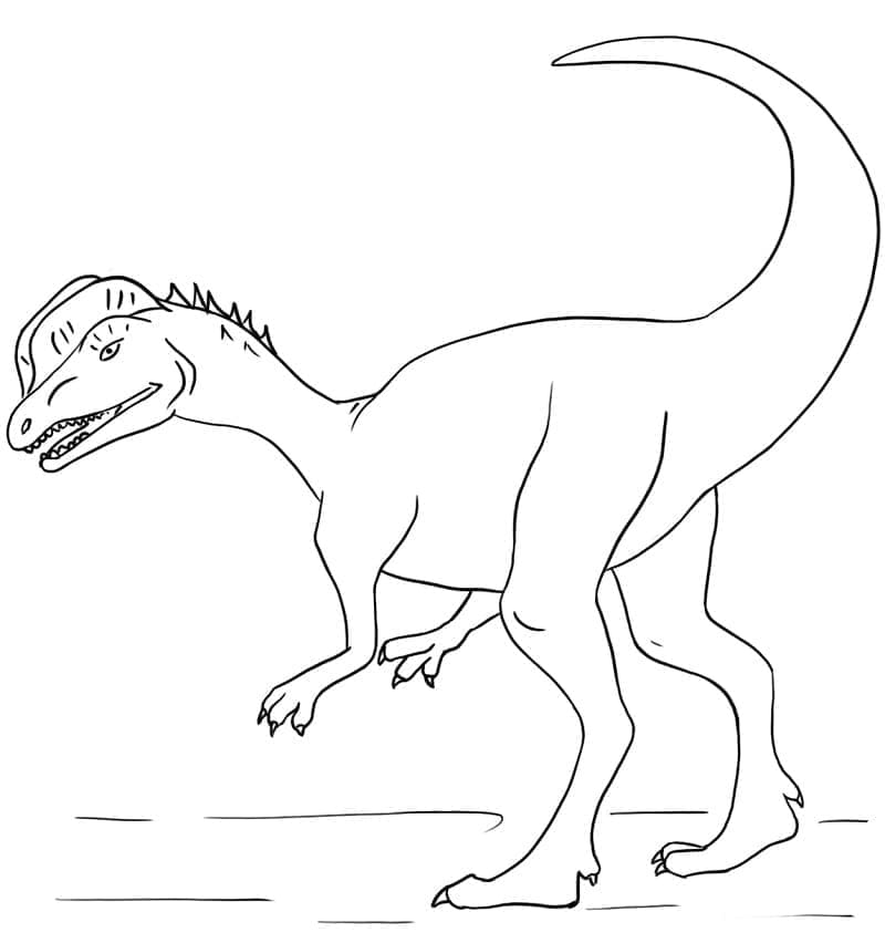 Desenho de Dilofossauro Simples para Colorir