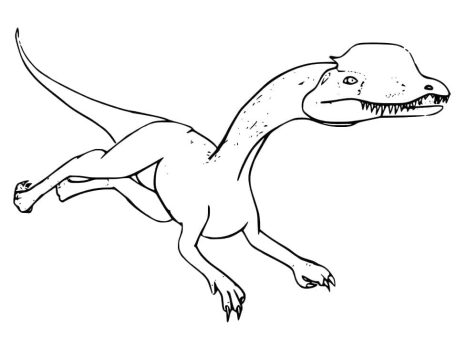 Desenho de Dinossauro Dilofossauro para Colorir