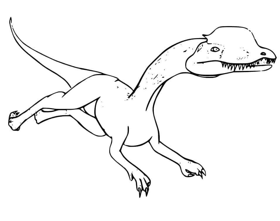 Desenho de Dinossauro Dilofossauro para Colorir