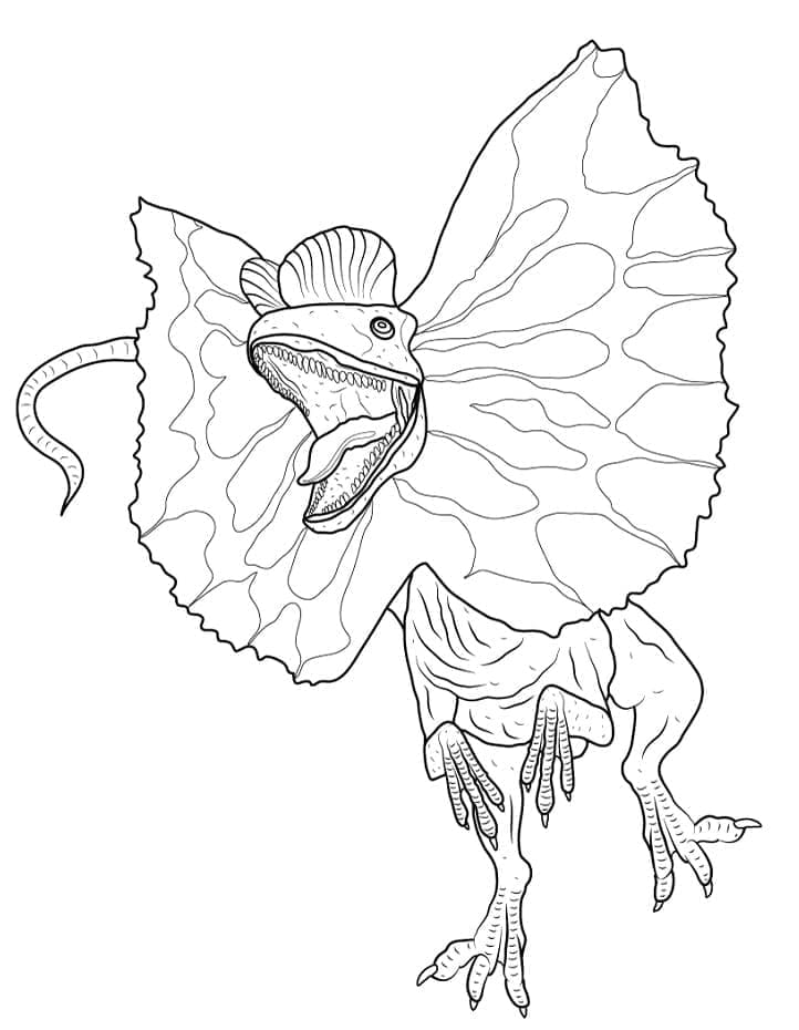 Desenho de Foto de Dilofossauro para Colorir