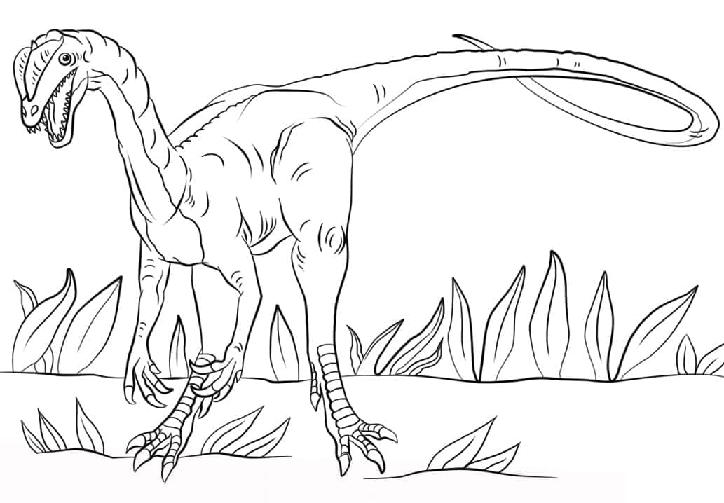 Desenho de Imagem de Dilofossauro para Colorir