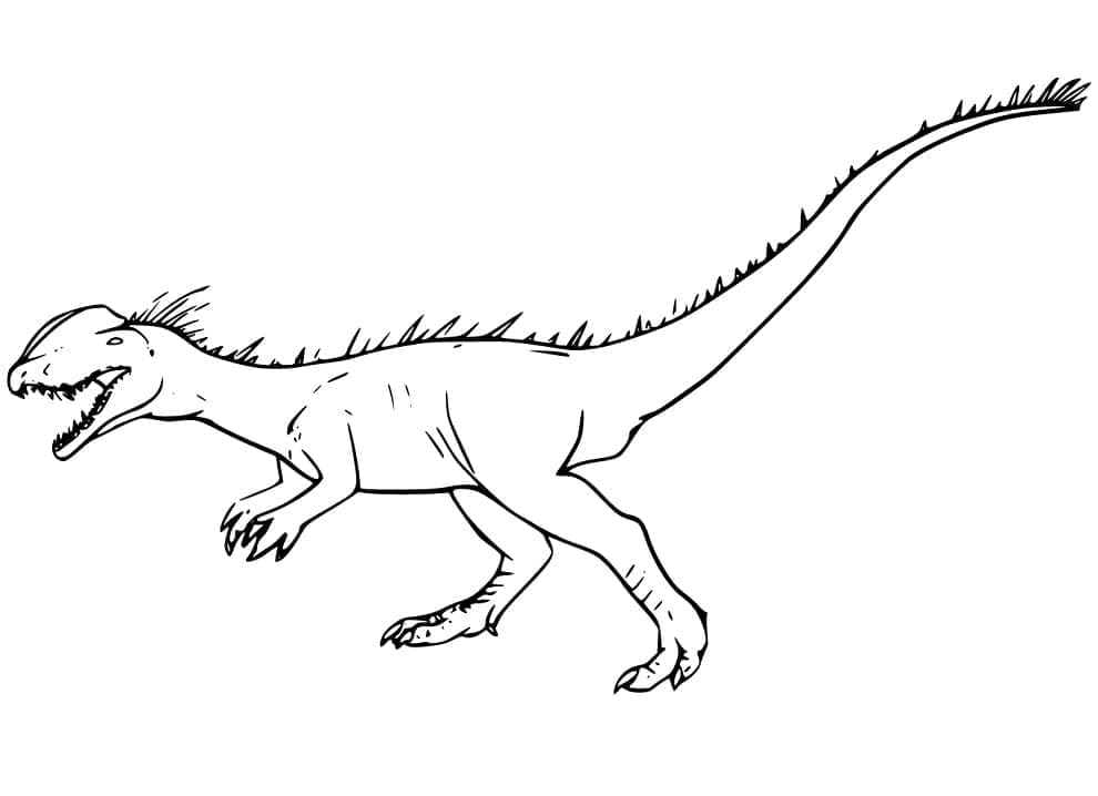 Desenhos de Dilofossauro para Colorir