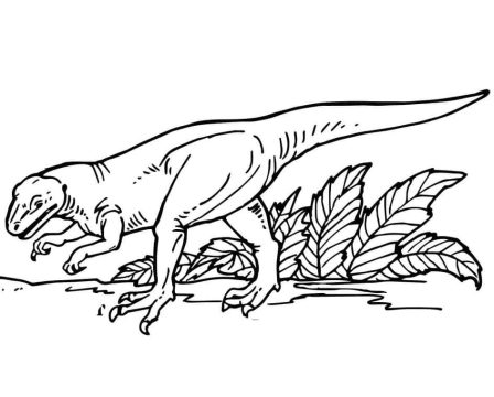 Desenho de Dinossauro Alossauro para crianças para Colorir