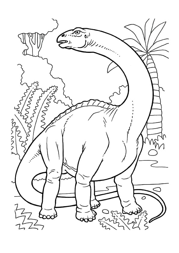 Desenho de Dinossauro Catrak A4 para Colorir