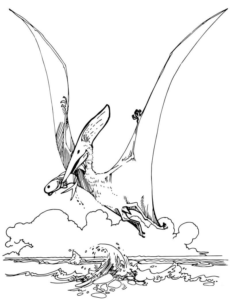 Desenho Dinossauro Pteranodonte para Colorir