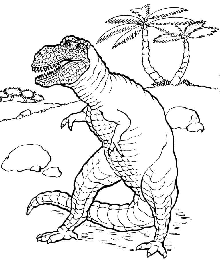 Desenho Dinossauro Tiranossauro para Colorir