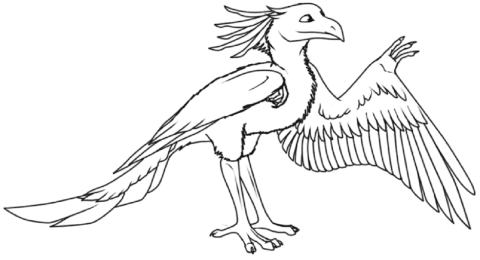 Desenho Imprimível de Dinossauro Archaeopteryx A4 para Pintar com Giz
