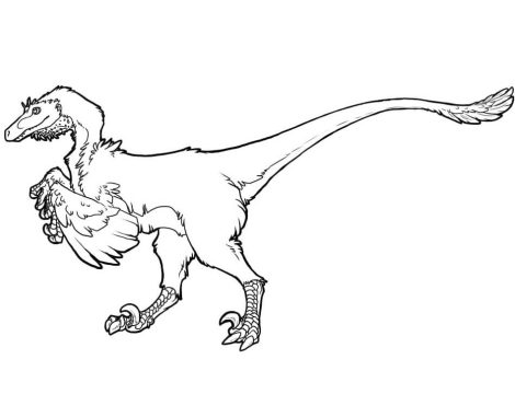 Desenho Raptor Dinossauro para Colorir