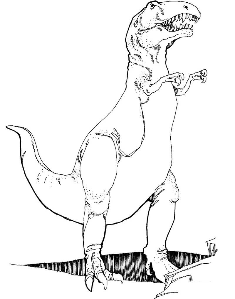 Desenho Tiranossauro para Colorir