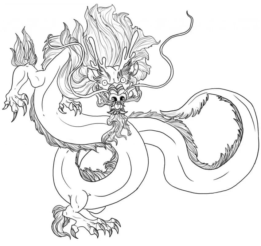 Desenho de Dragão Chinês para Colorir