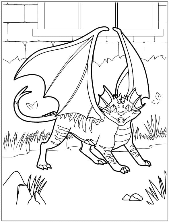Desenho de Dragão Gato para Colorir