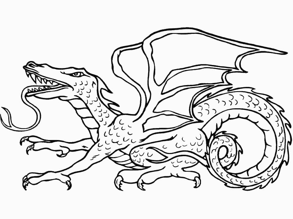 Desenho de Dragão Grátis para Colorir