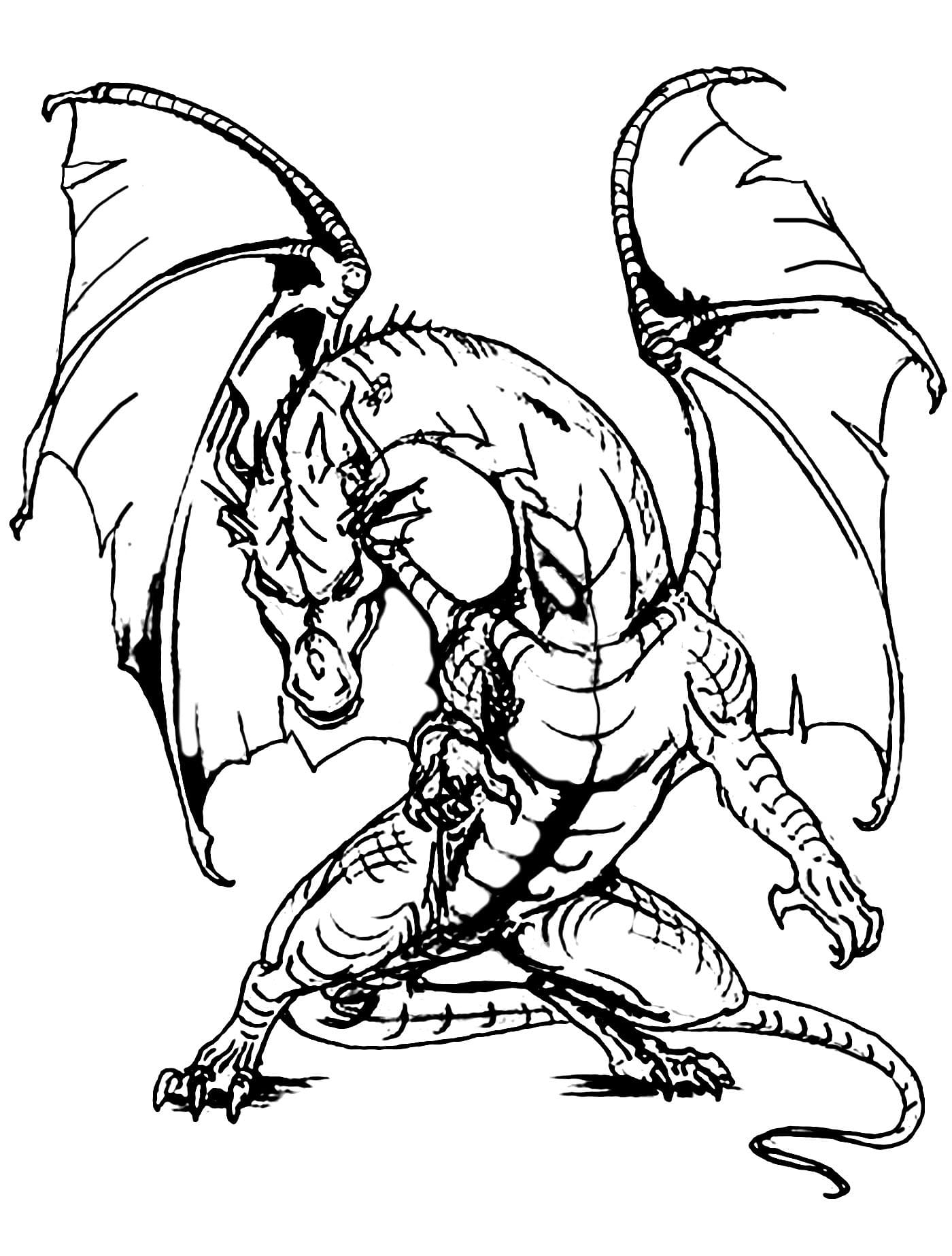 Desenho de Dragão Irritado para Colorir