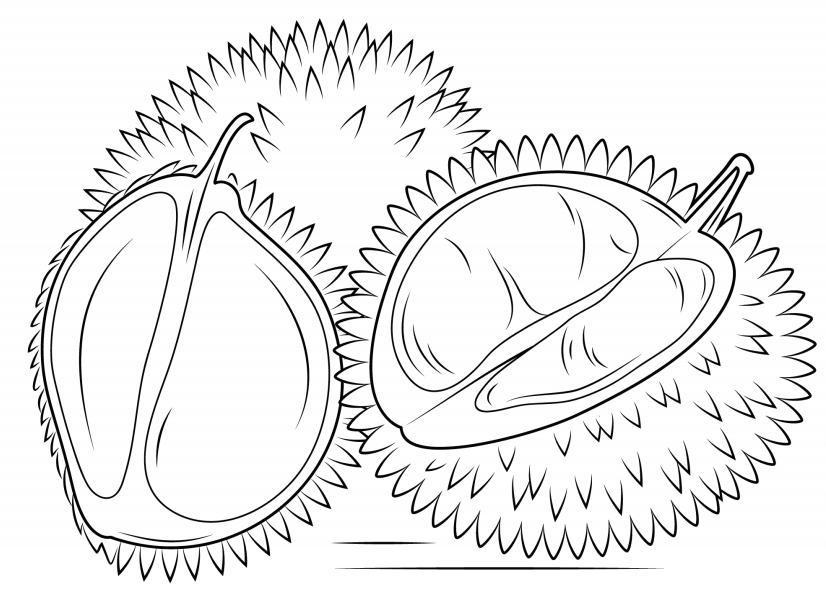 Desenhos de Durião para Colorir