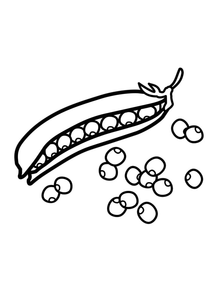 Desenho de Ervilha Detalhada para Colorir Pdf