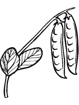 Desenho de Ervilha na Vagem para Imprimir