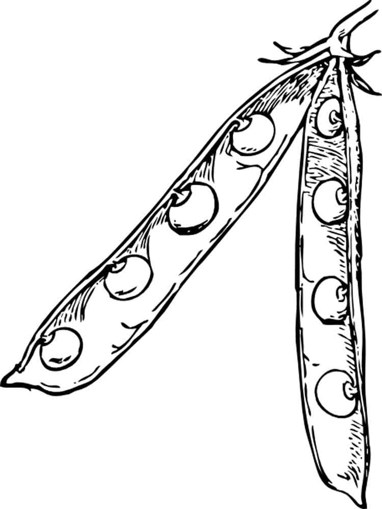 Desenho de Ervilha no Prato para Colorir