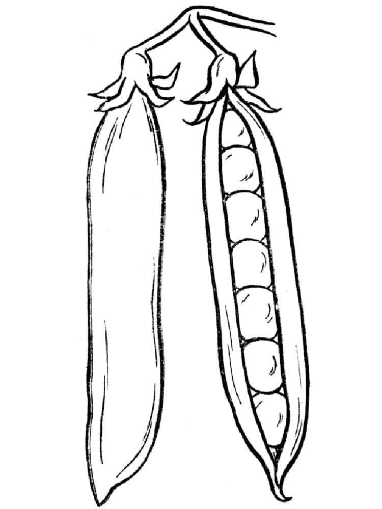 Desenho de Ervilha para Colorir Pdf