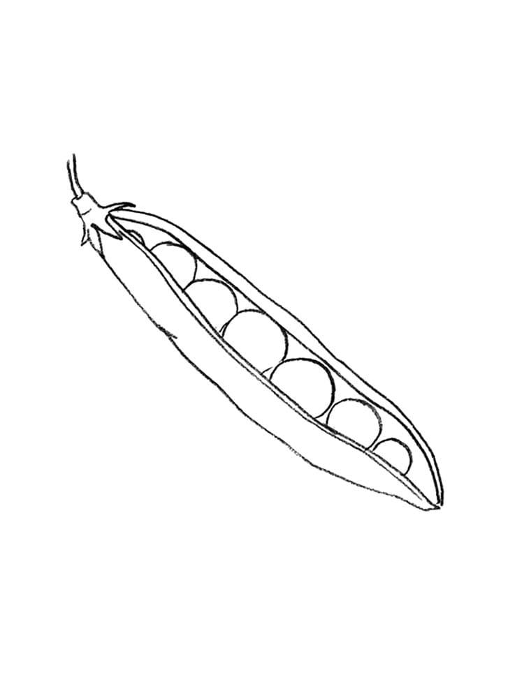 Desenho de Ervilha para Imprimir Lápis de Cor