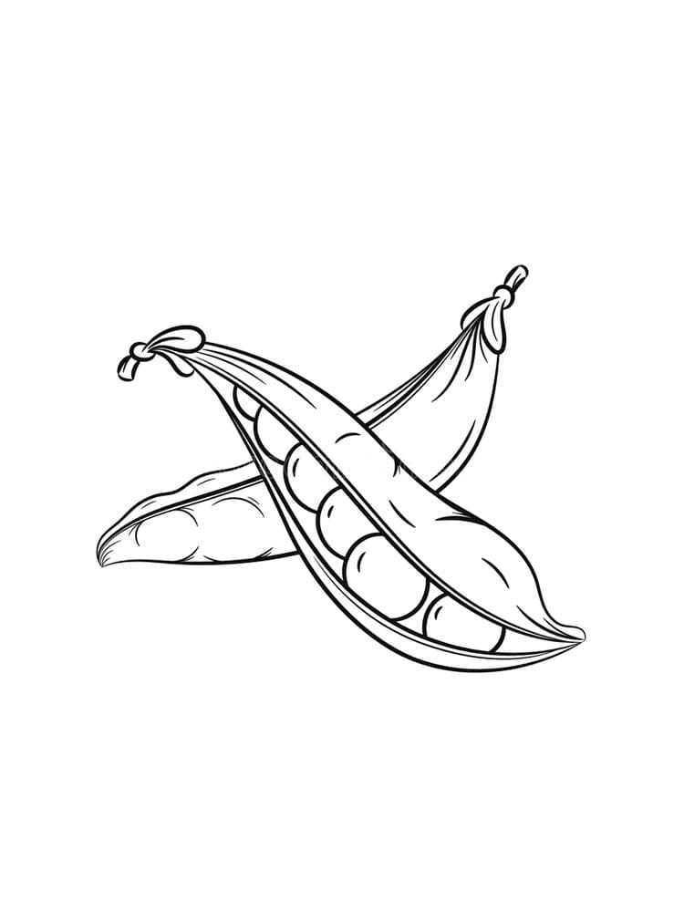 Desenho de Ervilha Simples para Imprimir Lápis de Cor