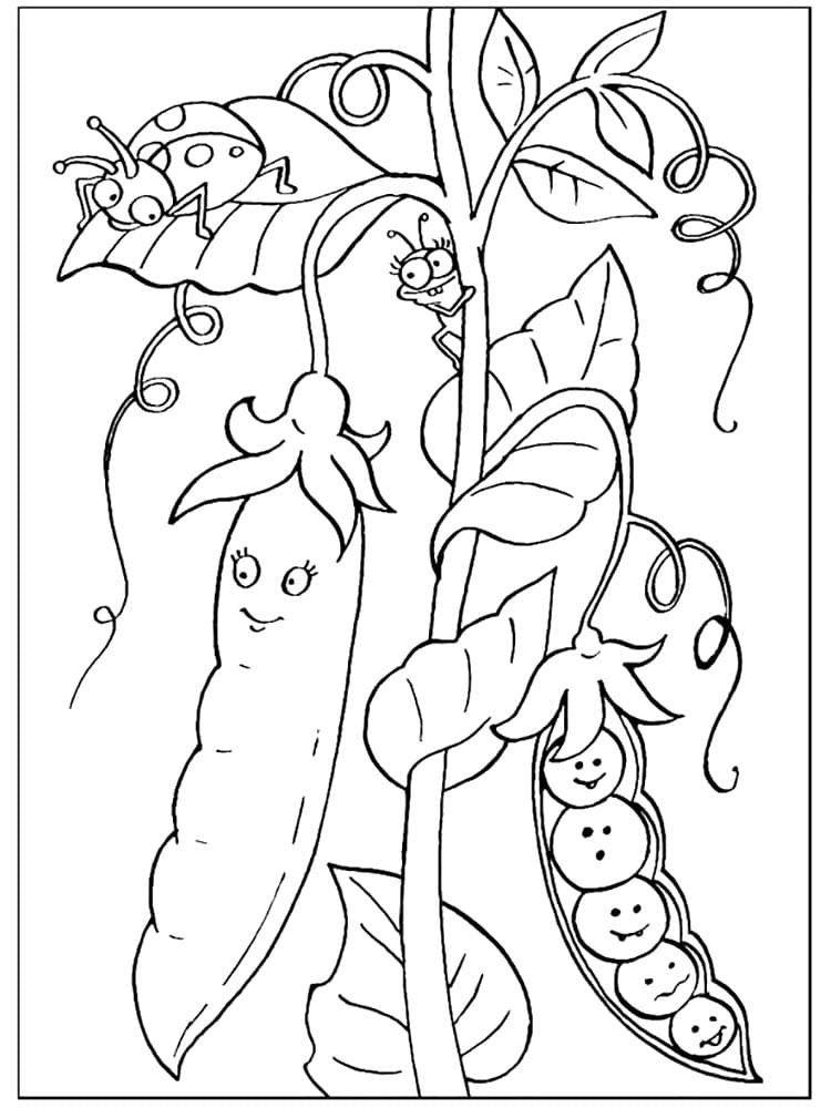 Desenho de Ervilhas Bonitas para Colorir